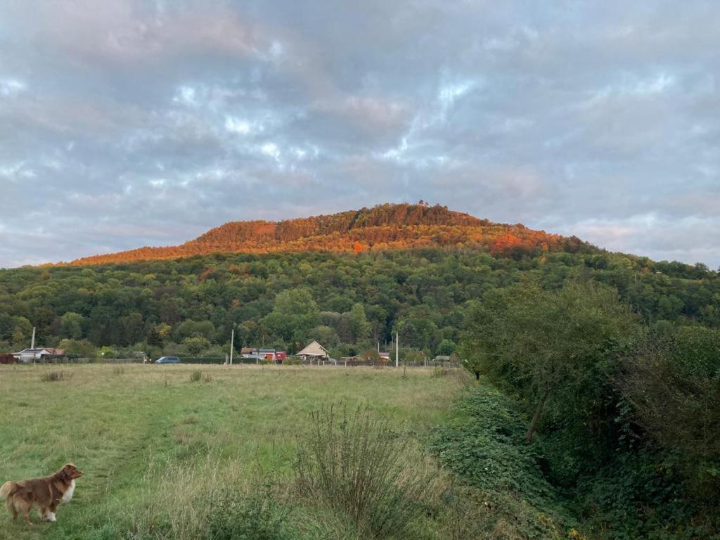 Jena Paradies Dış mekan fotoğraf